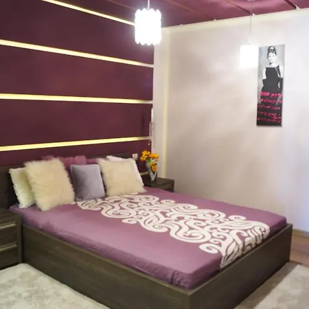 Apartament Nad Portem דירה